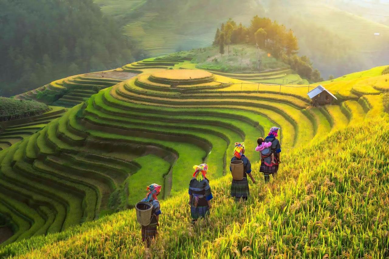 Central Sapa Charm Hotel エクステリア 写真