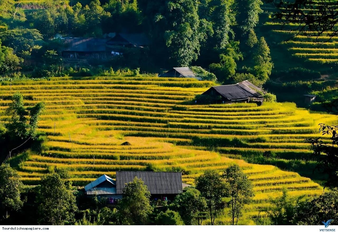 Central Sapa Charm Hotel エクステリア 写真